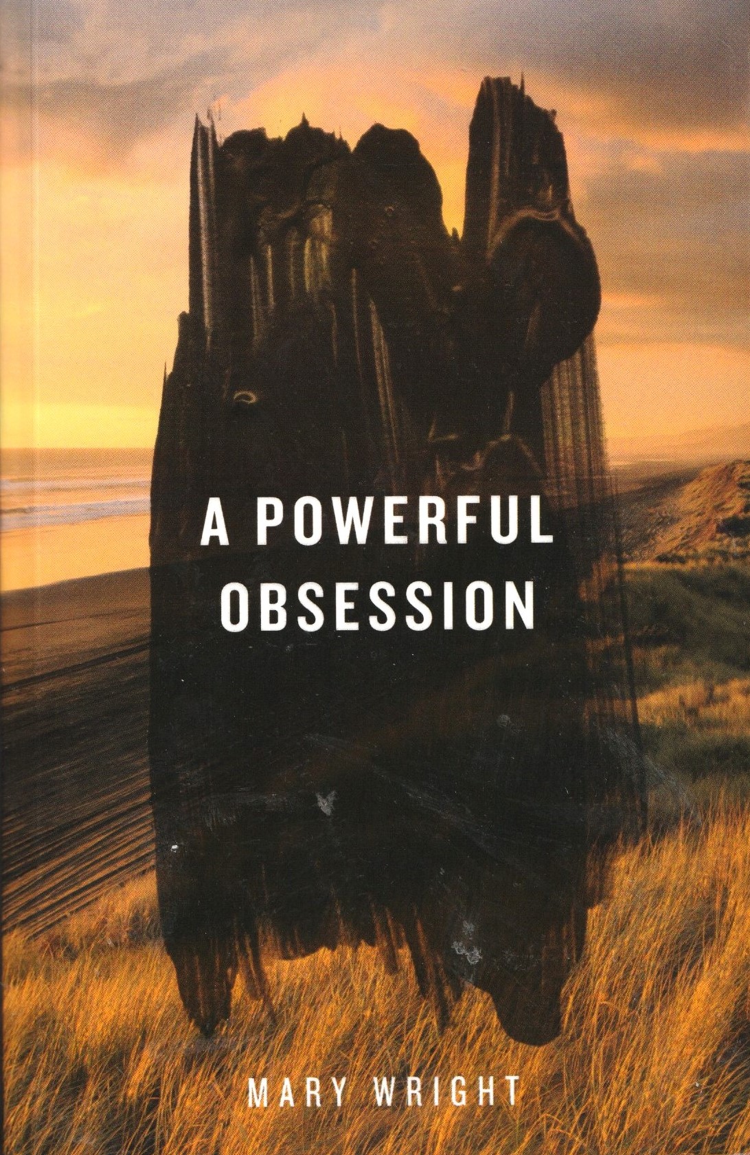 Cover of A Powerful Obsession by Mary Wright